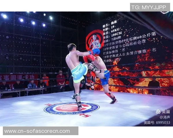 宋宗耀对决各路英雄展现实力与智慧的巅峰对抗赛即将开启